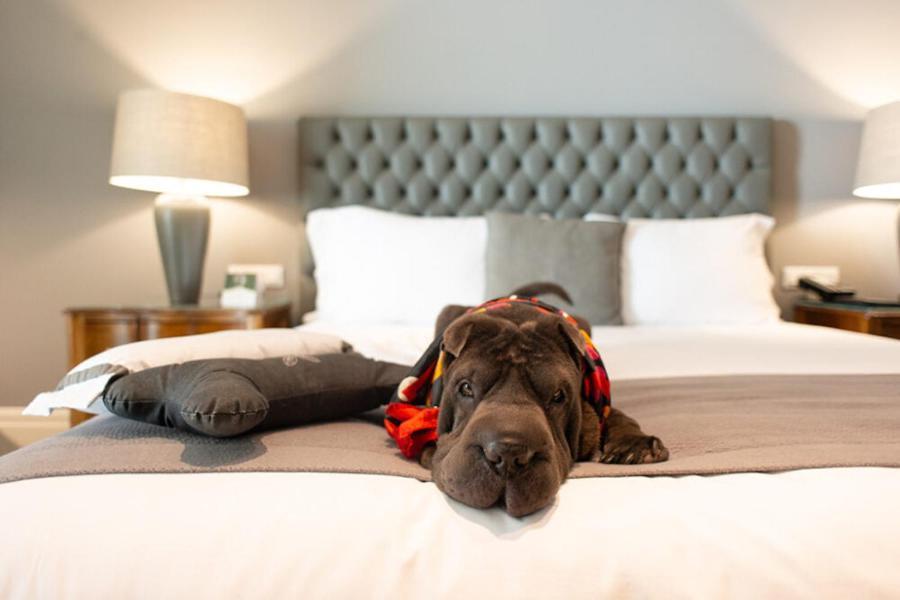 Grande Hotel Paranavaí 외부 사진